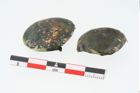 Foto von Bronzebeschlagscheiben (NHMW-PRAE-025512)